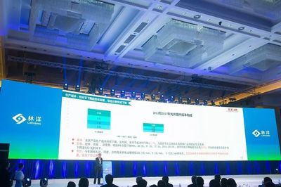 引领N型技术新浪潮，林洋能源发布高效N型单晶双面组件